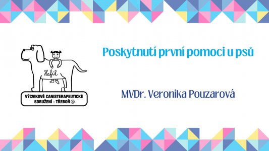 Veterinární péče a první pomoc u psa