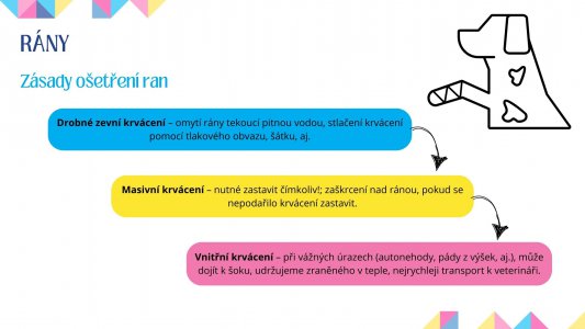 Veterinární péče a první pomoc u psa