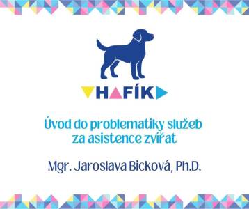 Úvod do problematiky služeb za asistence zvířat