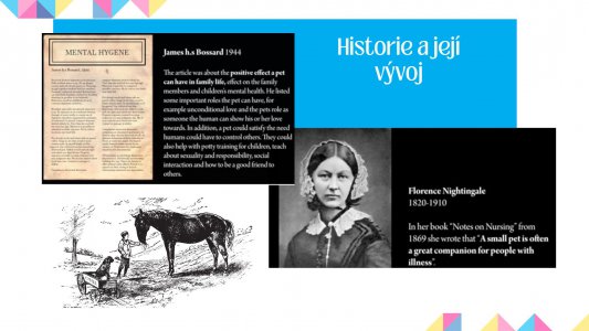 Úvod do problematiky služeb za asistence zvířat