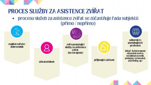 Základní pojmy, proces služeb za asistence zvířat
