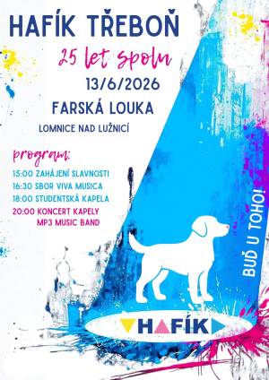 Vstupenka 25 let spolu