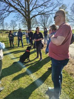 IMG_20260424_171436609_HDR