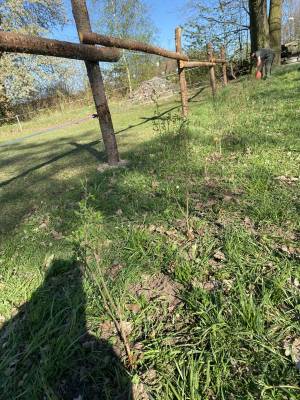 Messenger_creation_57F284EF-43AD-4E95-BD40-BDB7D66B7EF0