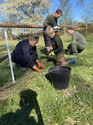 Messenger_creation_9C8C2771-0D3B-42B7-9457-79791F73731A