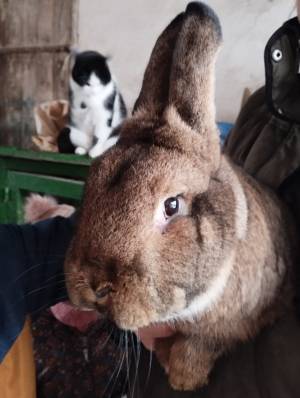 WhatsApp Image 2026-01-29 at 17.55.17