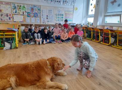 20240403_112032_Original (1)